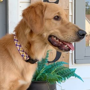 Meet your Posher, Cortnie